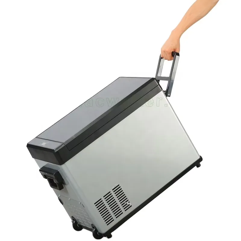 Wine Beer Mini Fridge - 40L Taşınabilir Elektrikli Soğutucu Kompresörlü Buzdolabı,